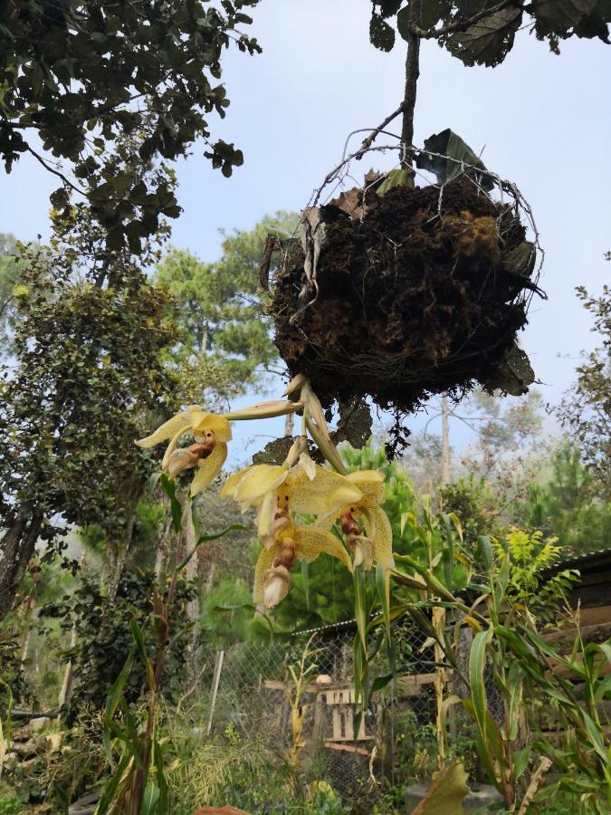 Renta De Cabanas, Centro Ecoturistico Rural Sustentable Labor San Jose San Cristóbal de Las Casas Екстериор снимка